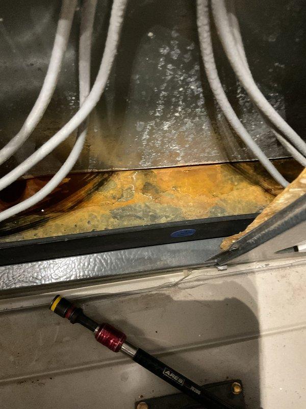 # ASTU-AC Super Tune-Up Completed

Performed comprehensive AC super tune-up on residential air handler system. Inspection revealed significant biological growth and mineral deposits in drain pan requiring cleaning and treatment. Addressed moisture accumulation issues, tested refrigerant lines, and conducted full system diagnostics to ensure optimal performance and efficiency.
