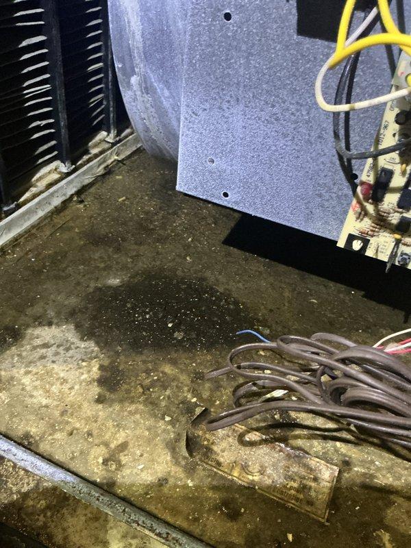 Responded to no cooling complaint on air conditioning system. Upon arrival, performed diagnostic inspection of outdoor unit and found equipment in aged condition with significant debris accumulation in base pan and around components. Assessed overall system condition including compressor, electrical connections, and condensate management components. Documented equipment condition with photos showing interior cabinet area with visible wiring, contactor assembly, and condenser coil, as well as exterior components including compressor housing and condensate pump assembly. Discussed thermostat replacement options with customer for potential installation. Unit age and manufacturer information could not be determined from available nameplate data.