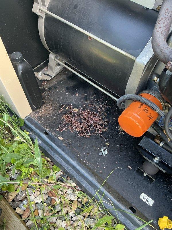 Responded to no cooling complaint on air conditioning system. Upon arrival, performed diagnostic inspection of outdoor unit and found equipment in aged condition with significant debris accumulation in base pan and around components. Assessed overall system condition including compressor, electrical connections, and condensate management components. Documented equipment condition with photos showing interior cabinet area with visible wiring, contactor assembly, and condenser coil, as well as exterior components including compressor housing and condensate pump assembly. Discussed thermostat replacement options with customer for potential installation. Unit age and manufacturer information could not be determined from available nameplate data.