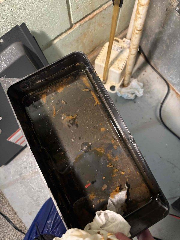 Completed annual cooling maintenance on 15-year-old air conditioning system. Inspected and removed condensate drain pan which showed significant rust accumulation, sediment buildup, and standing water with debris. Cleaned drain pan and documented condition with photos showing corrosion and discoloration from prolonged water exposure. Verified proper drainage and system operation upon completion.