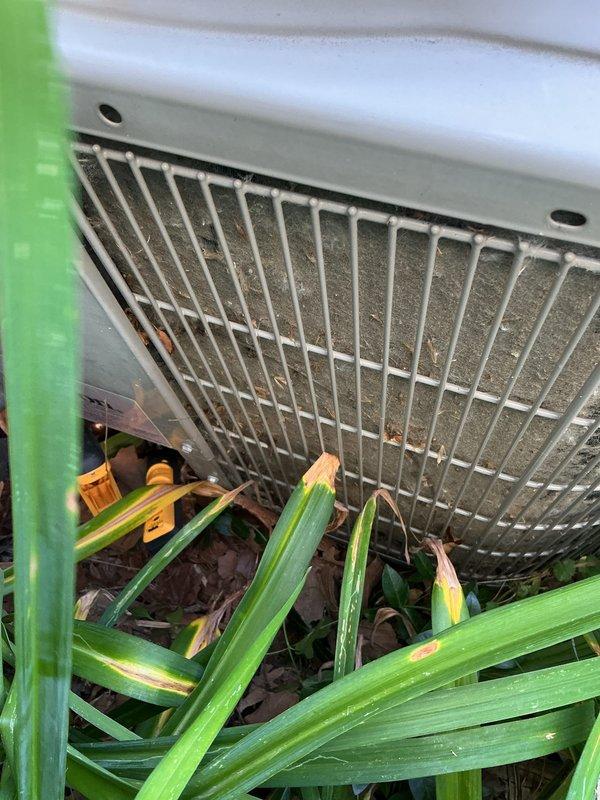 Completed annual cooling system maintenance and tune-up on residential air conditioning unit. Performed comprehensive inspection of outdoor condensing unit, noting accumulated debris on filter media and vegetation growth around equipment perimeter. Documented equipment condition with photographs of both indoor and outdoor components for service records.