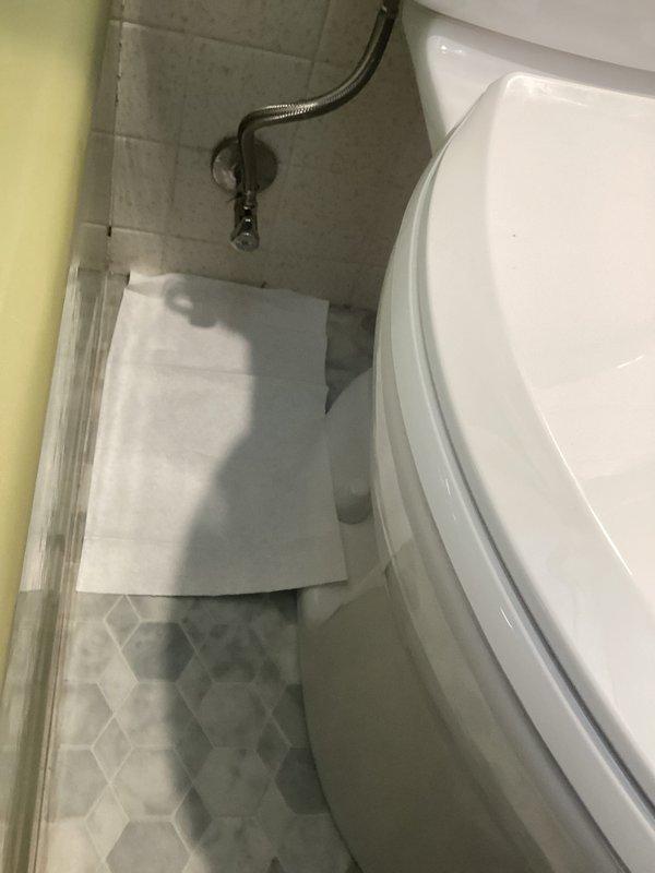 Completed toilet replacement in residential bathroom, removing existing unit and installing new white porcelain toilet with chrome flush lever. Reconnected water supply line with braided stainless steel flex hose to wall-mounted shut-off valve, ensuring proper seal and functionality. Replaced tub spout as quoted. Tested toilet for proper flush operation, verified no leaks at supply connection and base seal, and confirmed stable mounting to floor. Cleaned work area and removed old fixtures from premises.