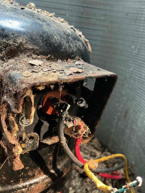 Completed annual cooling maintenance on 32-year-old Lennox system. Performed comprehensive tune-up inspection and documented severe corrosion on outdoor unit electrical junction box and wire connections. All electrical terminations showed significant rust deterioration from prolonged moisture exposure, with corroded wire nuts and heavily oxidized housing requiring immediate attention for safe system operation.
