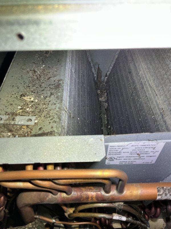 Completed annual cooling maintenance on 14-year-old Ruud system with 2018 condenser. Performed comprehensive tune-up including inspection of evaporator coil, refrigerant lines, electrical connections, and blower components. Documented interior condition of air handler showing normal dust accumulation on components and copper refrigerant lines with typical surface oxidation for system age, with all mechanical components operating within manufacturer specifications.