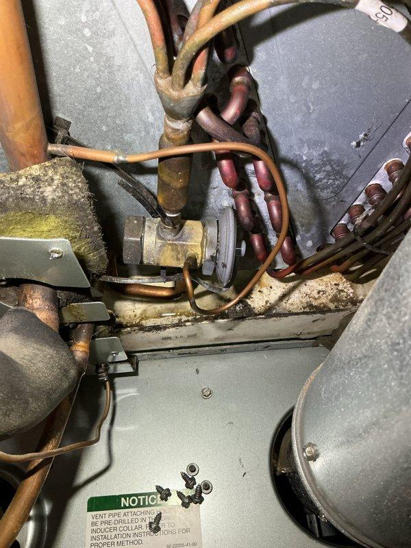 Completed annual cooling maintenance on 14-year-old Ruud system with 2018 condenser. Performed comprehensive tune-up including inspection of evaporator coil, refrigerant lines, electrical connections, and blower components. Documented interior condition of air handler showing normal dust accumulation on components and copper refrigerant lines with typical surface oxidation for system age, with all mechanical components operating within manufacturer specifications.
