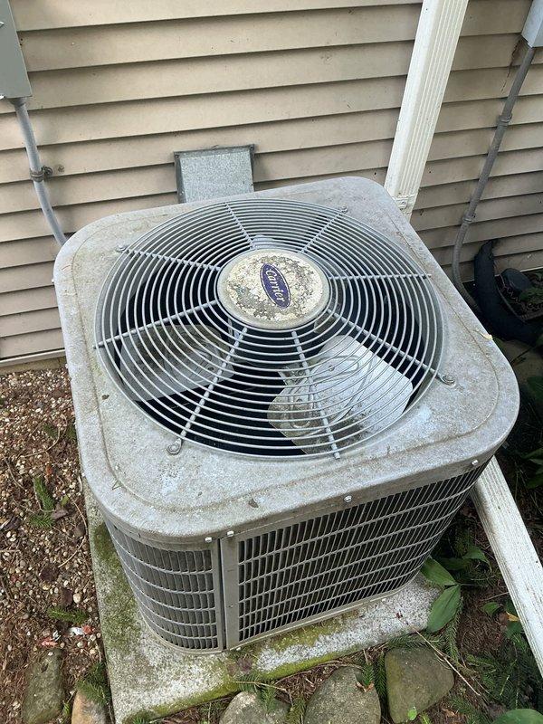 Completed annual cooling maintenance on 4-year-old Carrier model WT 12-2030 condenser unit. Performed comprehensive inspection of outdoor unit, noting moderate weathering and dirt accumulation on housing consistent with age and outdoor exposure. Observed algae and mildew growth on lower unit sections and concrete pad, indicating moisture exposure. Cleaned condenser coils and fan assembly, removed debris from base area, and verified proper airflow through louver vents. Tested fan motor operation, checked refrigerant levels, and confirmed electrical connections secure. Unit operational and cooling efficiently upon completion of tune-up service.