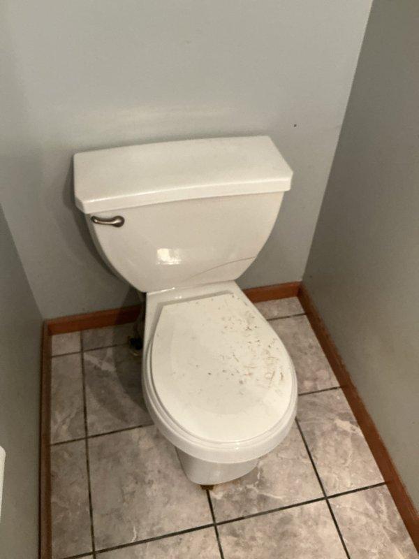 Responded to main bathroom toilet with cracked tank causing active water spillage. Upon arrival, assessed the toilet and confirmed tank damage requiring replacement. Documented existing conditions with photos showing the two-piece toilet installation on tile flooring and verified the extent of the leak to prevent further water damage to the surrounding area.