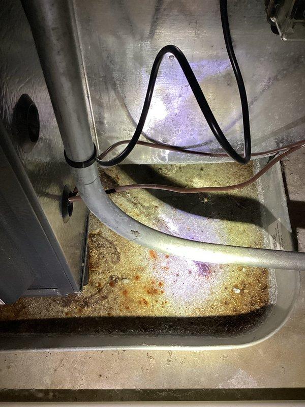 Completed annual cooling maintenance on EnergiAir system under warranty. Added R32 refrigerant to address low charge condition identified during previous service call. Performed comprehensive tune-up including inspection of evaporator coil, condensate drain pan, and air handler components. Noted moderate mineral deposits and staining in drain pan consistent with normal condensate drainage. Verified system operation, confirmed proper refrigerant levels, and documented equipment condition with photos. Unit operating within normal parameters upon completion.