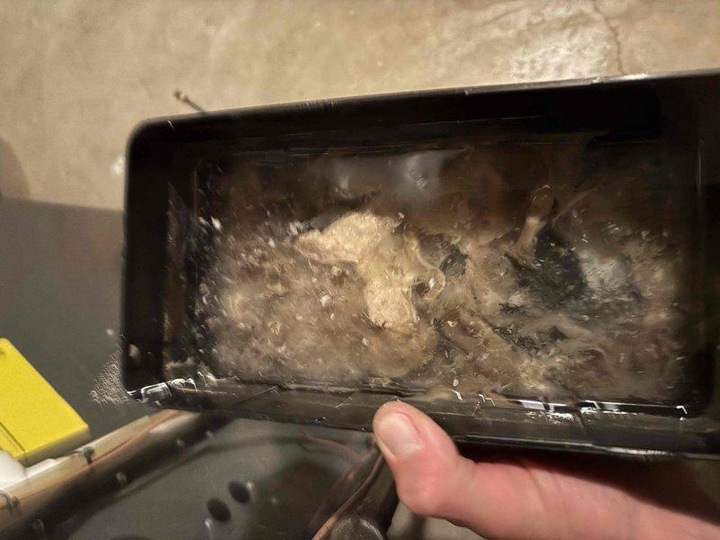 # ASTU-AC Super Tune-Up Completed

Performed comprehensive super tune-up service on 6-year-old air conditioning system. Removed and cleaned severely clogged condensate drain pan, which contained significant accumulation of lint, dust, and fibrous debris that could have led to water overflow and potential system damage. Cleared all drain ports and flushed drainage system to restore proper condensate removal function. Completed full system inspection, verified operational parameters, and documented conditions with photographic evidence for service records.