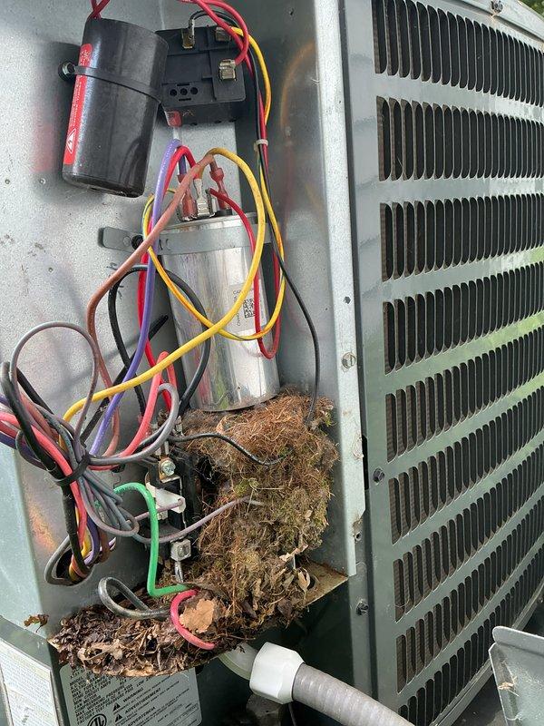 Completed annual cooling maintenance on 9-year-old Goodman condensing unit. Removed significant accumulation of organic debris (grass, leaves, and twigs) from electrical compartment that had collected around wiring, capacitor, and contactor assembly. Cleaned interior components and verified all electrical connections remained secure. Noted substantial rust and corrosion on interior mounting bracket and cabinet surfaces indicating ongoing moisture exposure. Inspected heat exchanger coil, refrigerant lines, and condensate drainage system. Verified unit operational parameters within acceptable range despite age-related deterioration of cabinet components.