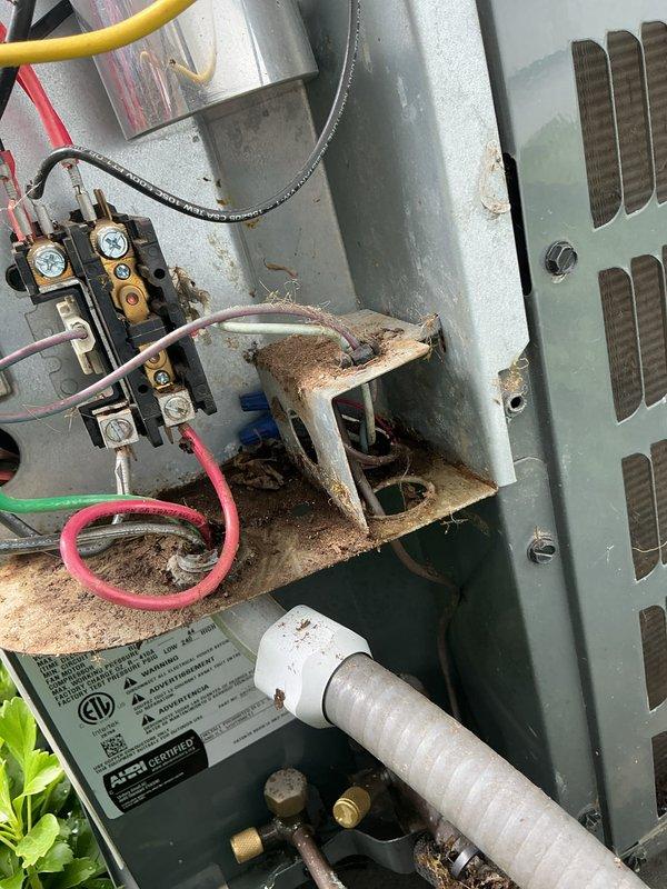 Completed annual cooling maintenance on 9-year-old Goodman condensing unit. Removed significant accumulation of organic debris (grass, leaves, and twigs) from electrical compartment that had collected around wiring, capacitor, and contactor assembly. Cleaned interior components and verified all electrical connections remained secure. Noted substantial rust and corrosion on interior mounting bracket and cabinet surfaces indicating ongoing moisture exposure. Inspected heat exchanger coil, refrigerant lines, and condensate drainage system. Verified unit operational parameters within acceptable range despite age-related deterioration of cabinet components.