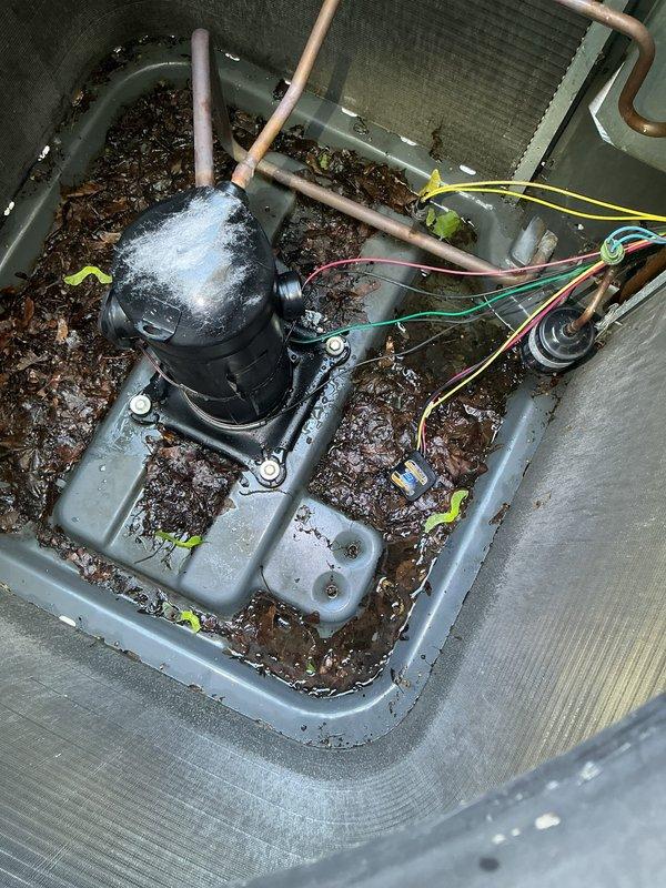 Replaced failed compressor on HVAC unit. Upon accessing the equipment, discovered condensate drain pan heavily contaminated with decomposed organic debris, standing water, and sediment accumulation. Thoroughly cleaned drain pan, removed all leaf litter and organic matter, and cleared condensate pump assembly. Installed new compressor, reconnected refrigerant lines, verified all electrical connections, and tested system operation to confirm proper function.