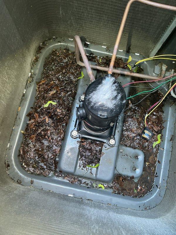 Replaced failed compressor on HVAC unit. Upon accessing the equipment, discovered condensate drain pan heavily contaminated with decomposed organic debris, standing water, and sediment accumulation. Thoroughly cleaned drain pan, removed all leaf litter and organic matter, and cleared condensate pump assembly. Installed new compressor, reconnected refrigerant lines, verified all electrical connections, and tested system operation to confirm proper function.