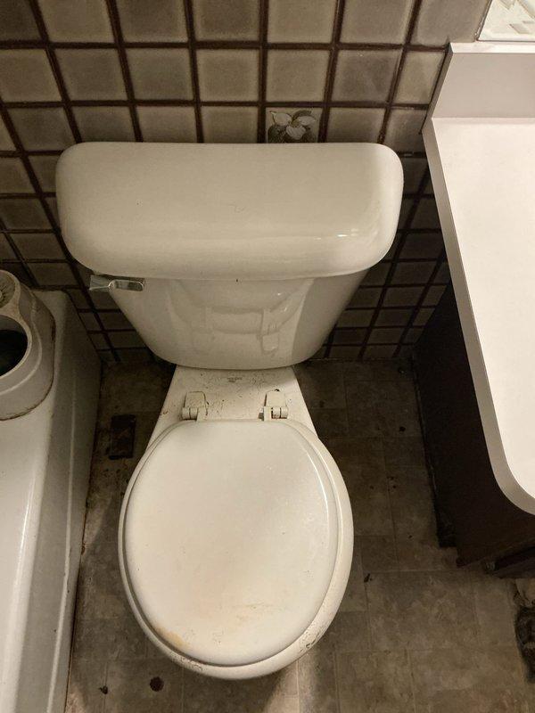 Completed comprehensive plumbing project estimate for bathroom floor repair and toilet resetting. Assessment revealed deteriorated flooring around toilet base with visible water damage and wear patterns, requiring substrate evaluation and replacement prior to fixture reinstallation. Documented existing bathroom conditions including tile work, floor integrity, and basement plumbing infrastructure featuring copper manifold system with multiple shut-off valves and water treatment equipment to ensure proper coordination for upcoming repair work.