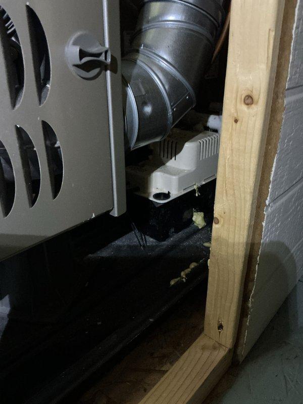 Completed annual cooling maintenance on two 8-year-old air conditioning systems. Performed comprehensive tune-up procedures including inspection of indoor air handler units, ductwork connections, condensate drain systems, and refrigerant lines. Verified proper operation of all mechanical components, checked airflow through ventilation systems, and confirmed drainage systems are functioning correctly. Both units operating within normal parameters with no repairs required at this time.