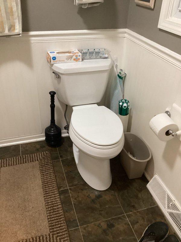 Completed routine Plumbing Club Inspection of residential bathroom fixtures. Documented bathroom sink with chrome center-set faucet, pop-up drain assembly, and toilet installation, confirming all fixtures are in proper working condition with no visible leaks or defects noted.