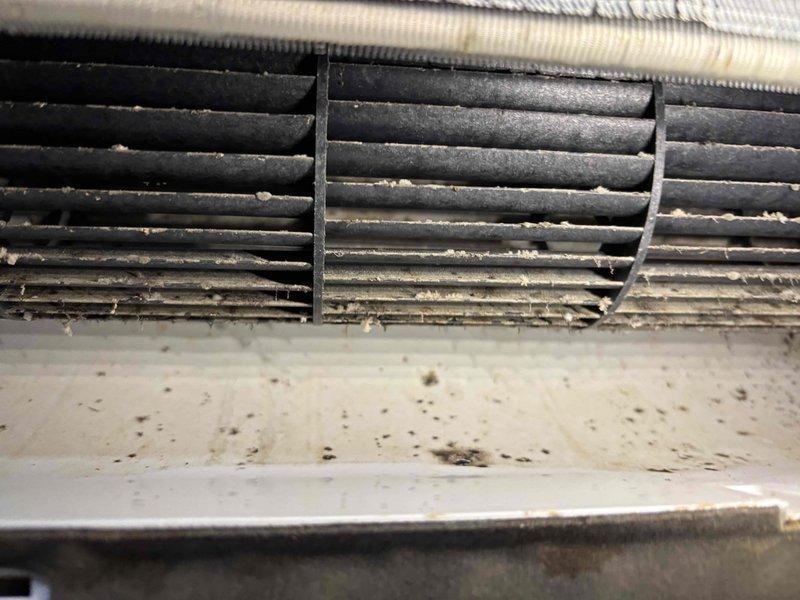 # Mini Split Cleaning Service

Performed comprehensive cleaning service on two indoor mini split air handler units. Removed and thoroughly cleaned blower wheels which showed heavy dust and debris accumulation on the fan blades and housing. Cleaned evaporator coil compartments, removing accumulated dirt and particulate matter from louvers and internal surfaces. Cleaned condensate drain pans which displayed moisture staining and residue buildup. Removed access panels to access internal components for detailed cleaning. Wiped down exterior grilles and ventilation slats that were heavily coated with airborne particles. Cleared drain system components including triangular drain fins and collection trays. Reassembled units and verified proper operation. Both mini split heads restored to clean operating condition with improved airflow capacity.