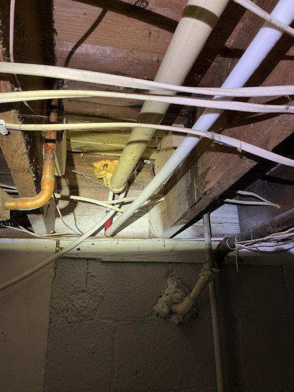 Responded to a dishwasher backing up into the kitchen sink. Upon inspection of the basement plumbing system, identified and cleared a drainage obstruction affecting the dishwasher discharge line. Verified proper water flow through all drain connections and confirmed the issue was resolved with no further backup occurring.