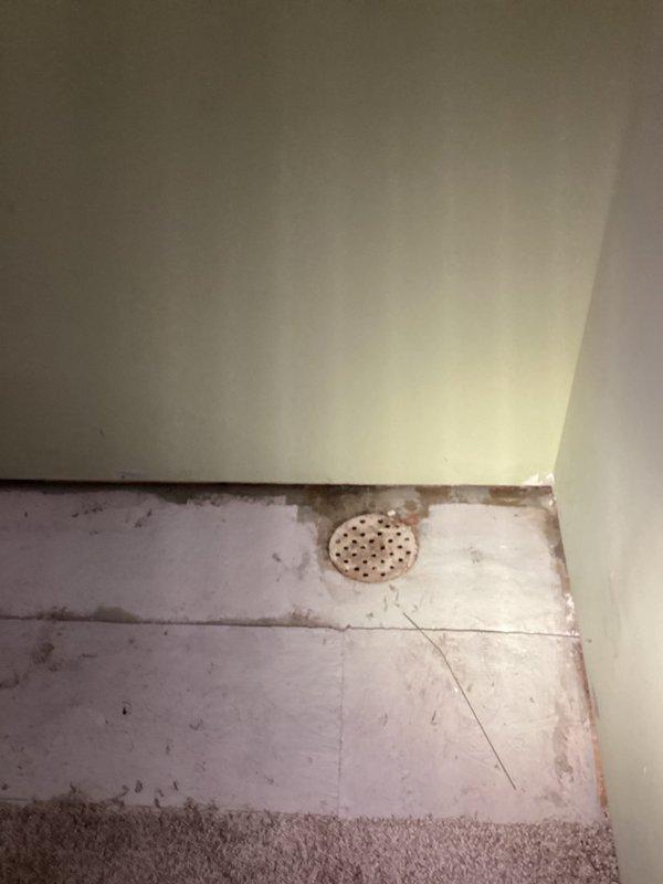 Responded to main drain backup in basement. Accessed cleanout fitting through existing wall opening to address drainage obstruction. Inspected vertical drain waste vent (DWV) system pipe showing signs of age and corrosion. Cleared blockage in main drainage line, restoring proper flow. Verified shower drain functionality and confirmed system operating normally upon completion.