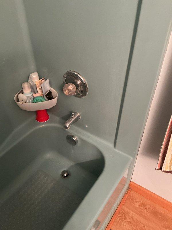 Conducted on-site assessment for shower fixture replacement in residential bathroom. Evaluated existing chrome shower control valve, tub spout, and drainage system for compatibility with proposed new shower head and handle assembly. Documented current plumbing configuration including wall-mounted fixtures and verified water supply connections to provide accurate project estimate for fixture upgrade.