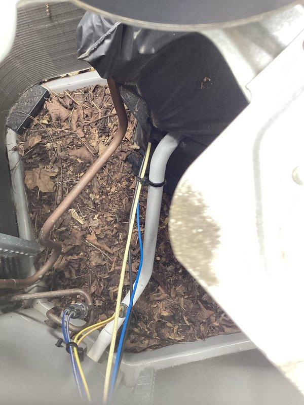 Completed annual cooling maintenance on 2021 Carrier unit. Inspected system components and identified significant organic debris accumulation in drain pan including leaves, twigs, and decomposed plant matter. Cleaned and cleared all debris from drain pan and compartment to prevent drainage blockage and ensure proper condensate removal. Verified electrical connections, inspected refrigerant lines, and confirmed all wiring and copper tubing routing. Tested system operation and drainage functionality following cleaning procedures.