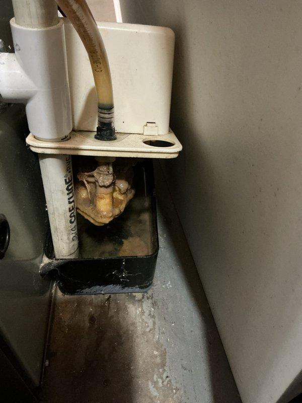 Completed annual cooling maintenance on 8-year-old AirTemp/Nortek system with condenser manufactured in 2022. Inspected condensate pump assembly and drainage system in mechanical room, noting proper operation of pump with visible float mechanism and confirmed adequate drainage through PVC piping into stainless steel drain pan. Documented equipment condition showing normal wear patterns on condensate management components and verified secondary drain pan positioning with proper standoff supports.