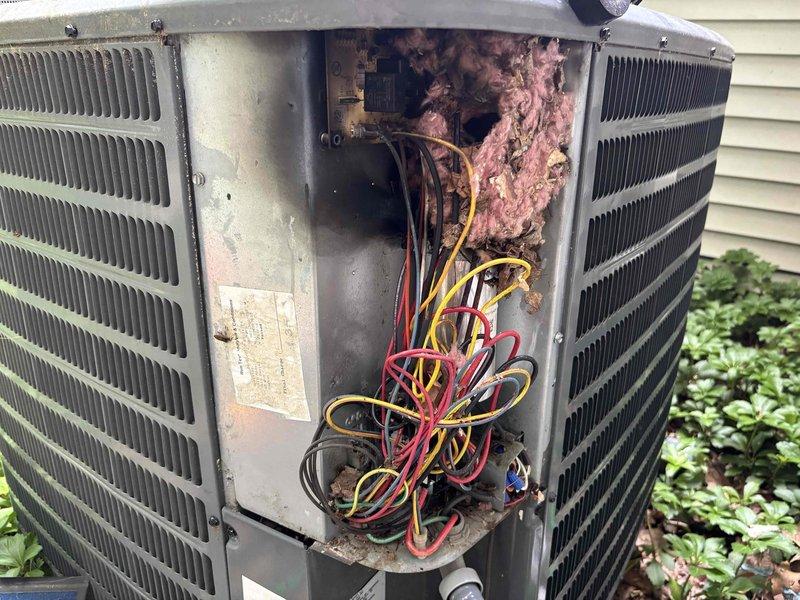 # NC-No Cool Service Completed

Responded to no cooling complaint on 12-year-old Goodman AC unit. Upon arrival, confirmed system was running but not producing cold air. Performed diagnostic inspection of both indoor and outdoor units.

Examined indoor air handler and found THM5320R wireless thermostat control module properly powered and connected, with all wiring intact at terminal strips. Verified thermostat was calling for cooling with COOL indicator illuminated.

Inspected outdoor condensing unit and discovered significant deterioration of internal components. Access panel revealed degraded pink insulation material, extensive discoloration, and accumulated debris within electrical compartment. Condenser coil fins showed signs of age and weathering. Internal wiring bundle examined and found to be intact but compartment showed evidence of long-term exposure to elements and moisture intrusion based on corrosion patterns and material breakdown.

Given the age of the unit (12 years) and 