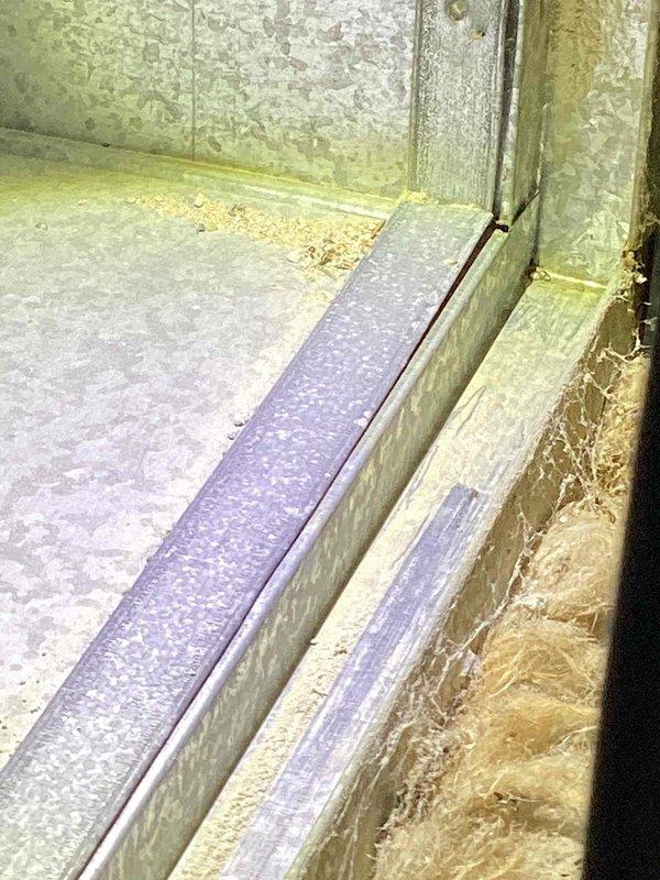 Completed annual cooling maintenance on 2018 residential HVAC system. Performed comprehensive tune-up including system inspection, refrigerant level verification, electrical component testing, and condensate drainage system evaluation. Addressed client inquiries regarding air filter options and provided recommendations for appropriate filter types based on system specifications. Inspected condensate pump assembly and drainage lines; noted standing water in collection pan with visible sediment accumulation. Documented system components and installation conditions through photographic records for maintenance history.