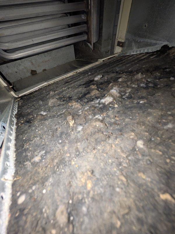 Responded to cooling system concern at single-family residence with 6-year-old air conditioning unit. Upon inspection, discovered significant accumulation of dirt, dust, and debris throughout the evaporator coil and drain pan area, restricting proper airflow and system efficiency. Performed thorough cleaning of interior components, removing heavy buildup from coil fins, drain pan, and surrounding compartment. Verified refrigerant charge using calibrated digital scale, confirming system held proper charge at 1.43 pounds. System restored to proper operating condition with improved airflow and cooling performance.