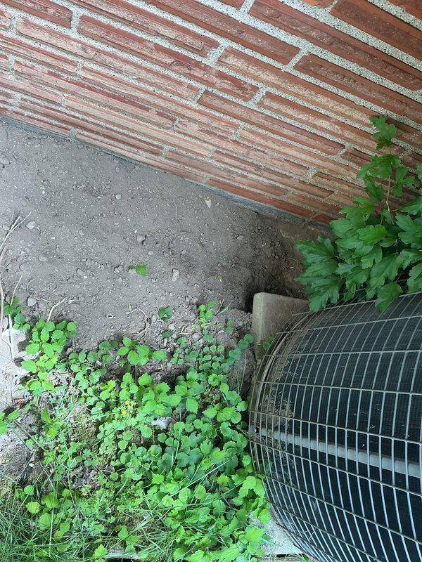 # CP-Cooling Problem Summary

Responded to service call for 30-year-old air conditioning system running but not producing cold air. Upon inspection, found outdoor condenser unit with protective wire cage at building exterior and traced refrigerant lines through interior wall space. System age and lack of cooling indicated potential compressor failure or complete refrigerant loss. Documented equipment condition and building infrastructure for assessment. Given the advanced age of the unit, recommended full system replacement as most cost-effective solution versus major repairs on obsolete equipment.
