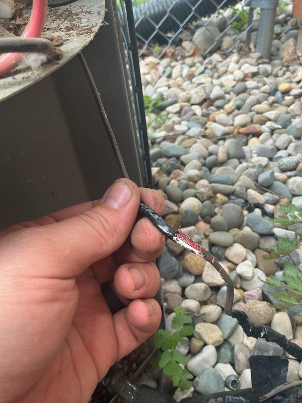 Responded to no heating or cooling call on 20-year-old Lennox system that was completely unresponsive. Upon arrival, performed systematic diagnostic of both heating and cooling components. Inspection of outdoor condenser unit revealed severely damaged low voltage control wiring with exposed conductors and compromised insulation. Wire damage appeared consistent with animal activity or environmental deterioration. Replaced damaged control wire section and verified all electrical connections at both indoor air handler and outdoor condensing unit. Restored power to system and confirmed proper operation of both heating and cooling modes. Tested thermostat communication and verified all safety controls functioning correctly. Discussed humidifier operation with homeowner per previous technician notes regarding slow-draining floor drain that backs up with excessive water flow. Recommended keeping humidifier off until drainage issue is resolved to prevent water damage. System operational at tim