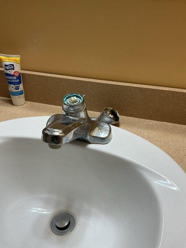 Installed customer-supplied faucet in bathroom sink, replacing existing fixture in 2004-built home. Removed old faucet assembly, installed new two-handle faucet with pop-up drain assembly, tested for proper operation and verified no leaks. Completed installation with photographic documentation showing finished work.