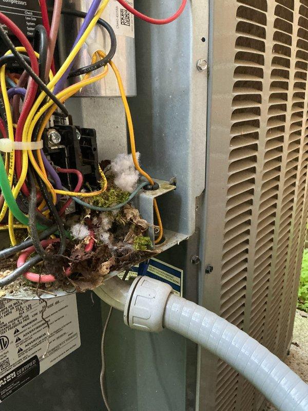 Responded to no cooling complaint on 9-year-old EnergiAir system affecting entire residence. Upon inspection, discovered bird nest constructed inside outdoor unit with debris obstructing electrical components and wiring. Removed nest material including twigs, grass, and insulation from around contactor, capacitor, and wire connections. Tested capacitor with clamp meter, verified electrical connections, and confirmed system operational. Unit restored to normal cooling operation.