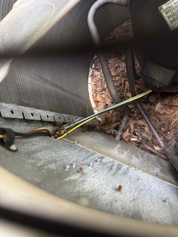 Responded to no cooling call for residential air conditioning system. Upon inspection, discovered significant leaf debris accumulation inside air handler compartment affecting system operation. Found deteriorated wire penetration seal with visible corrosion and rust staining around entry point, indicating moisture intrusion and environmental damage. Documented conditions with measurements and photography for service records.