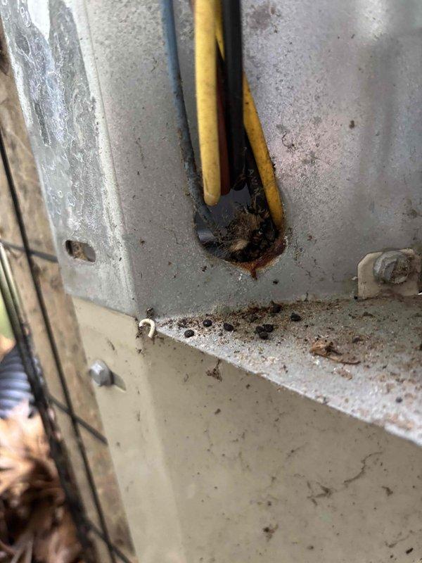 Responded to no cooling call for residential air conditioning system. Upon inspection, discovered significant leaf debris accumulation inside air handler compartment affecting system operation. Found deteriorated wire penetration seal with visible corrosion and rust staining around entry point, indicating moisture intrusion and environmental damage. Documented conditions with measurements and photography for service records.