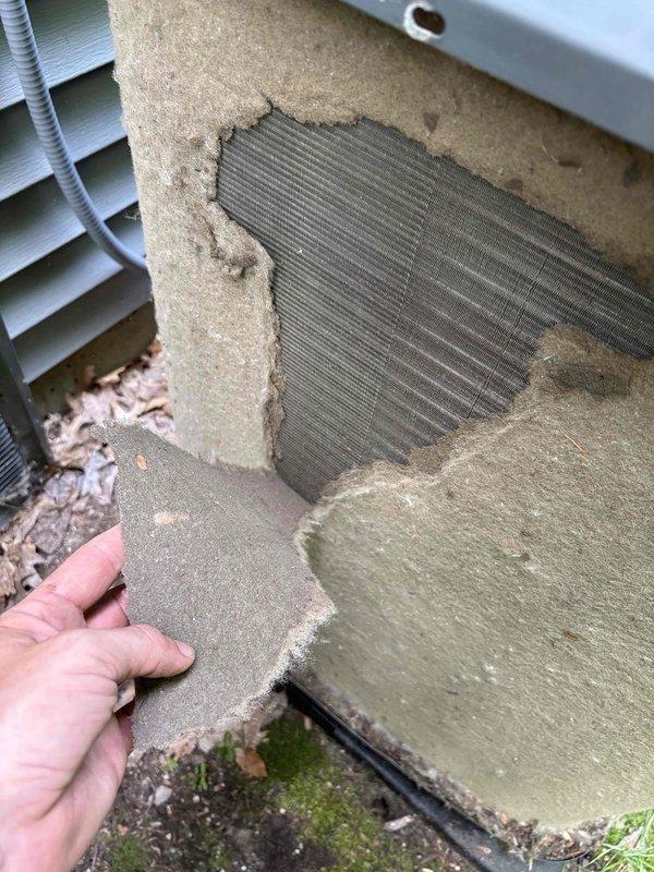 Responded to complaint of excessive cooling in basement zone causing severe condensation and water pooling on carpets and baseboards in 3-zone system. Upon arrival, inspected 8-year-old Carrier system and found outdoor condenser unit with significant biological growth and deteriorated protective coverings indicating prolonged moisture exposure and lack of maintenance. Documented exterior unit condition showing extensive mold/mildew accumulation on cabinet panels and damaged insulation materials with exposed mesh components. Issue likely caused by stuck or malfunctioning zone damper in basement supply duct allowing continuous cold air flow, combined with inadequate humidity control. Photographed equipment deterioration and moisture damage for service records. Recommended immediate zone damper inspection/replacement, humidity level assessment, and evaluation of basement return air configuration to resolve overcooling condition and prevent further water damage to finished surfaces.