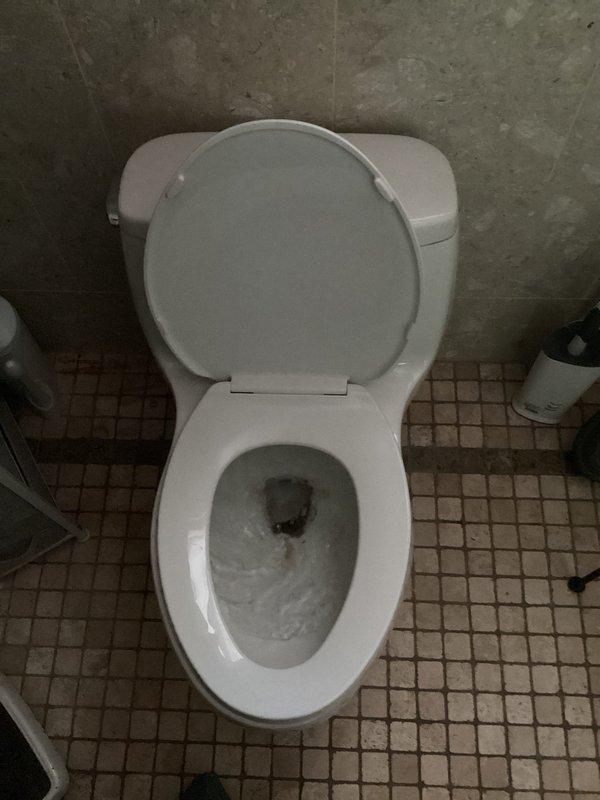 Responded to customer complaint regarding three toilets not flushing properly. Inspected all three toilet fixtures throughout the home and evaluated flush performance. Based on photographic documentation showing standard residential toilets and basement utility area with pressure tank and plumbing infrastructure, assessed water pressure and supply system. Identified potential issues with inadequate water volume or pressure affecting flush operation across multiple fixtures. Evaluated pressure tank system and associated plumbing components in mechanical room to determine if system-wide water delivery was contributing to poor flush performance. Provided customer with findings and recommendations for resolving flushing issues on all affected toilets.