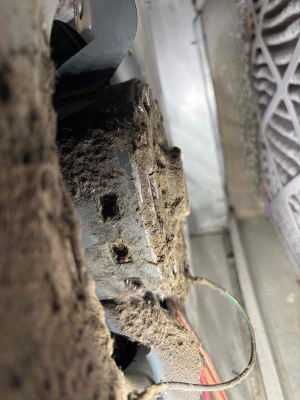 Responded to no-cooling complaint on 18-year-old Carrier air conditioning system. Upon arrival, confirmed unit was blowing warm air and unable to maintain desired temperature. Instructed homeowner to shut off AC and switch thermostat to fan-only mode to prevent further system stress. 

Inspection revealed severely deteriorated indoor evaporator coil with extensive dust and debris accumulation restricting airflow. Ductwork showed signs of long-term neglect with thick particulate buildup on coil surfaces and surrounding components. Observed damaged section in air handler with torn metal and exposed interior, compromising system efficiency. Electrical wiring visible within debris field presented potential safety concerns.

Examined outdoor disconnect box and verified electrical connections. System age and condition of critical components indicate unit is operating beyond typical service life expectancy. Provided homeowner with findings and recommended immediate system evaluation for poten
