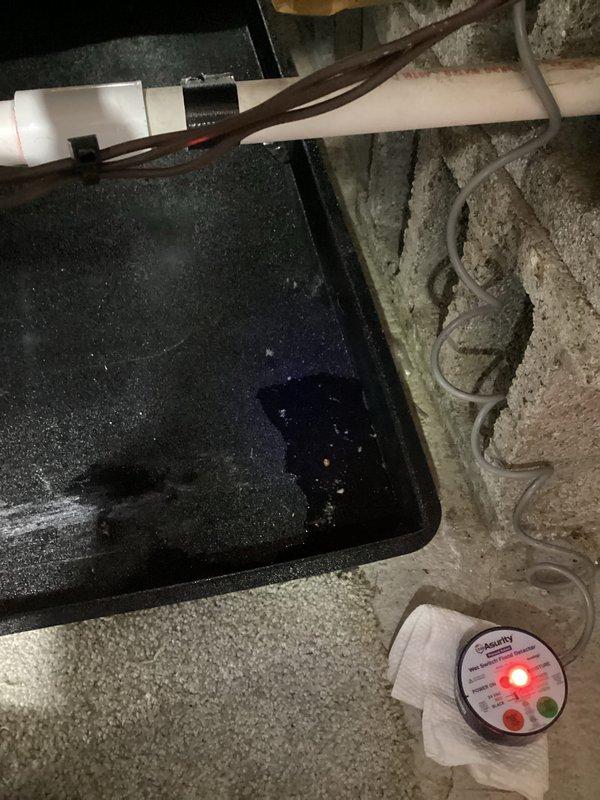 Responded to no cooling call and inspected HVAC system in attic space. Found condensate drain pan with standing water and confirmed primary drain line was properly routed through ceiling space with appropriate P-trap configuration. Verified auxiliary drain pan sensor was operational with illuminated indicators functioning correctly to alert for potential overflow conditions.
