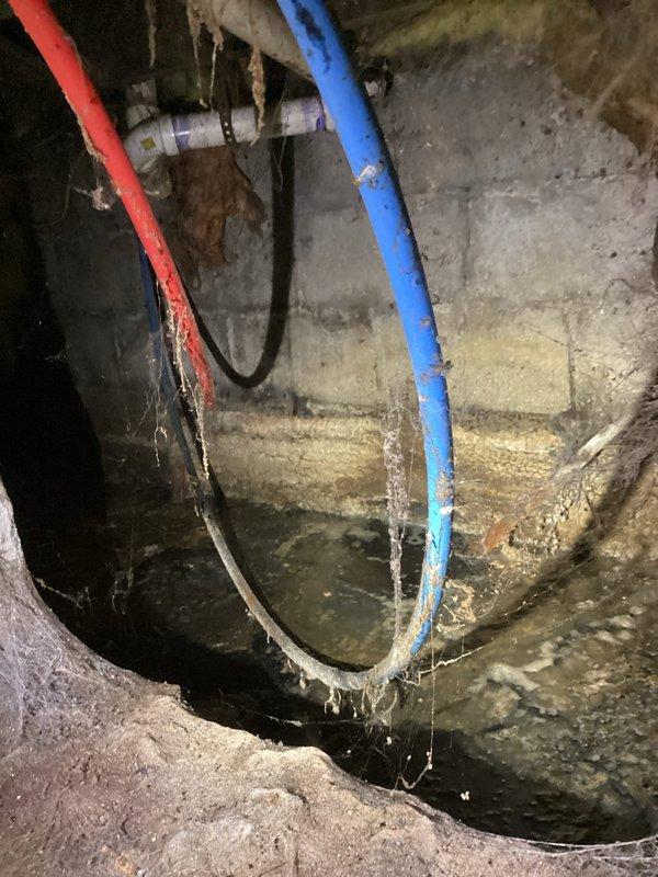 Conducted comprehensive site assessment and documentation for insurance-required drain repipe project estimate in basement crawlspace area. Photographed existing plumbing infrastructure including white PVC drain lines, flexible hoses, and metal pipe fittings showing significant age-related deterioration. Documented concrete block foundation walls exhibiting moisture staining, efflorescence, and mineral deposits indicating historical water seepage. Identified deteriorated piping with visible wear, discoloration, and compromised connections requiring replacement. Captured detailed images of crawlspace conditions including sump area, drainage systems, and structural elements to provide insurance company with additional technical information necessary for claim processing and project scope determination.