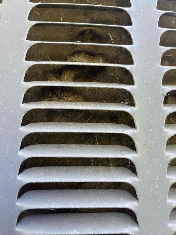 Responded to report of possible fluid leak with blue fluid present from seven-year-old EnergiAir HVAC system. Upon inspection, documented condition of exterior ventilation grilles showing normal dirt and debris accumulation but no evidence of fluid leakage, blue discoloration, or moisture present around unit or vent openings. System confirmed operational with normal cooling performance; no refrigerant leak detected during visual inspection.