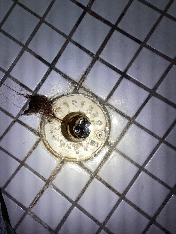 Responded to complaint of sewer odor emanating from shower drain for approximately two weeks in 1987-built home. Inspected shower floor drain and found significant accumulation of hair and organic debris on drain cover and within trap, which was causing odor issues and potentially compromising the trap seal. Removed debris buildup from drain assembly. Also inspected bathroom vanity sink per client request regarding slow drainage. Examined drain stopper mechanism and tested drainage flow. Documented conditions of both fixtures with photographs showing before-service state of shower drain with visible debris accumulation and bathroom vanity configuration with integrated sink basin and pop-up drain assembly.