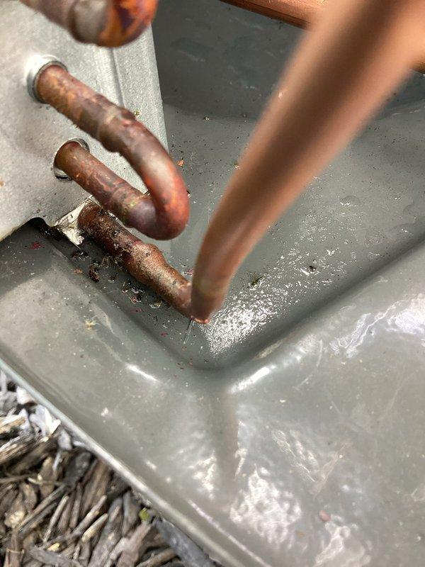 Returned to unit to diagnose previously quoted repair. Upon inspection, found significant corrosion and oxidation on copper refrigerant lines connected to the outdoor condensing unit. Observed moisture accumulation in the drain pan area and visible water residue on equipment surfaces, indicating potential condensate drainage issues. Documented condition of copper piping showing advanced tarnishing and discoloration, brass service valves, and finned coil assembly. Inspected electrical connections, wiring, and junction box components within the unit compartment. Photographed corroded copper lines, service valve connections, and overall system condition for repair documentation and customer records.