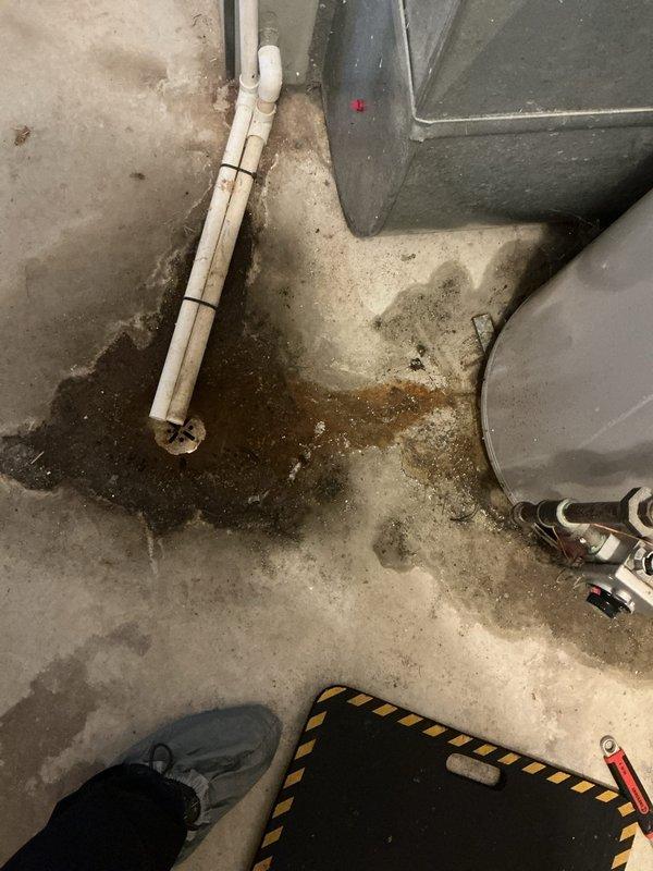 Responded to service call for water heater producing no hot water. Upon arrival, inspected 12+ year old A.O. Smith ProMax residential water heater located in basement utility area. Unit showed no signs of unusual noises and cold water supply was functioning normally. Performed diagnostic evaluation of heating elements, thermostat operation, and electrical connections. Documented existing installation conditions including copper supply lines with shutoff valves, galvanized vent piping, and overall system configuration through photographic documentation for service records.