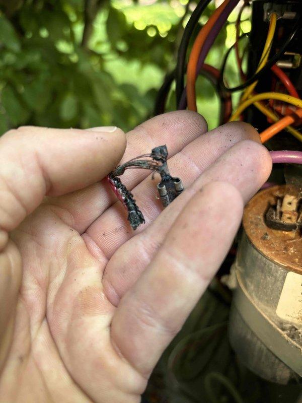 # Annual Cooling Maintenance Visit

Performed comprehensive annual cooling system maintenance on a 2022 unit. Upon inspection, discovered severely burnt wire insulation and carbonized electrical components indicating thermal failure at the capacitor connections. Found MARS dual-run capacitor (60+7.5µF) with corroded terminals and degraded wire connections, including damaged yellow wire with exposed copper conductor. Replaced failed capacitor and all compromised wiring to restore safe electrical connections. Cleaned and secured all terminal connections with proper spade connectors. Verified proper capacitance values and voltage readings post-repair. Completed standard tune-up procedures including coil cleaning, refrigerant charge verification, and operational testing. System restored to safe, efficient operation with all electrical hazards eliminated.