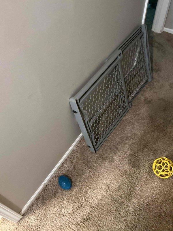 Responded to callback for recurring water leak from HVAC system affecting interior living space. Upon arrival, found significant water damage to baseboard and flooring in corner area with visible staining and moisture deterioration from continued leak. Documented extensive damage with photos showing compromised baseboards with dark water staining and mold growth, along with affected carpeted and tile flooring areas near return air grille. Issue persists following previous day's service visit. Unit is 8-year-old Goodman system requiring further diagnostic evaluation to identify and resolve source of ongoing water intrusion.