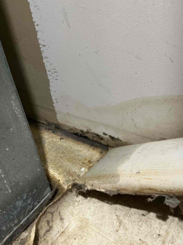 Responded to callback for recurring water leak from HVAC system affecting interior living space. Upon arrival, found significant water damage to baseboard and flooring in corner area with visible staining and moisture deterioration from continued leak. Documented extensive damage with photos showing compromised baseboards with dark water staining and mold growth, along with affected carpeted and tile flooring areas near return air grille. Issue persists following previous day's service visit. Unit is 8-year-old Goodman system requiring further diagnostic evaluation to identify and resolve source of ongoing water intrusion.
