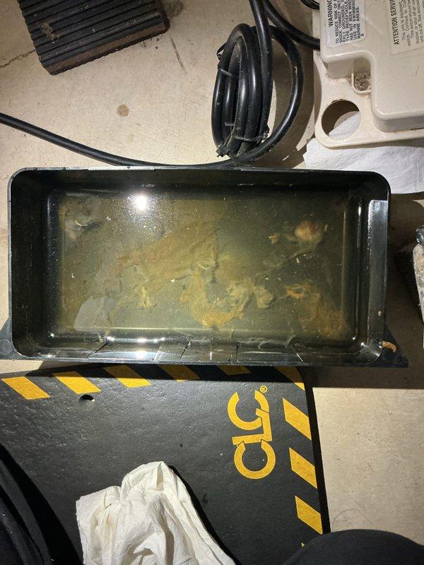 Completed annual cooling maintenance on 12-year-old EnergiAir system with 2018 condenser motor. Performed standard tune-up procedures including cleaning condensate drain pan which contained significant sediment and debris buildup, flushed drain line, inspected electrical connections, and verified system operation. All components functioning properly after service, photos documented pre-service conditions and work completed.