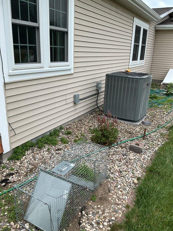 Completed full air conditioning system replacement at residential property. Installed new HVAC condensing unit on existing gravel pad against exterior wall with beige vinyl siding, ensuring proper placement and levelness on concrete foundation. Connected refrigerant lines (suction and liquid lines) with appropriate insulation, ran electrical supply conduit and wiring to unit, and mounted electrical disconnect boxes on exterior siding per code requirements. Verified all refrigerant line connections are secure and properly brazed, confirmed electrical connections meet manufacturer specifications and local electrical codes. System startup performed successfully with all operating parameters within normal range.