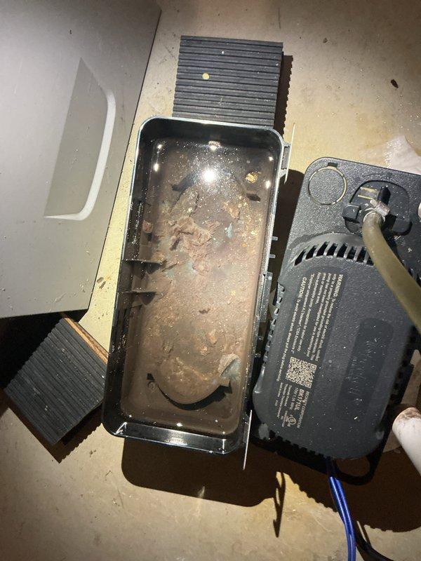 Completed annual cooling maintenance on 2011 EnergiAir system. Performed standard AC tune-up procedures including system inspection and operational testing. Discovered and addressed humidifier requiring cleaning due to significant mineral buildup and sediment accumulation in water pan; removed debris and restored component to proper operating condition.